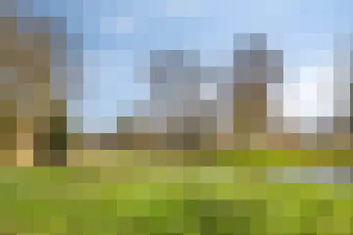 Buitenpepersdreef 71 's-Hertogenbosch thumbnail 15