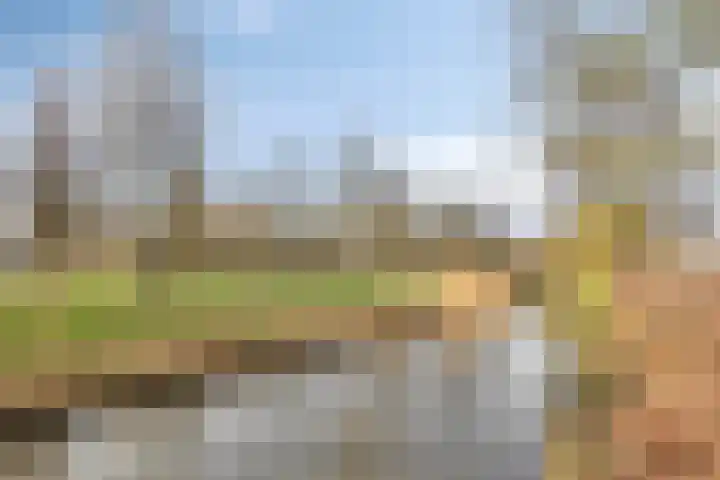 Buitenpepersdreef 71 's-Hertogenbosch thumbnail 16