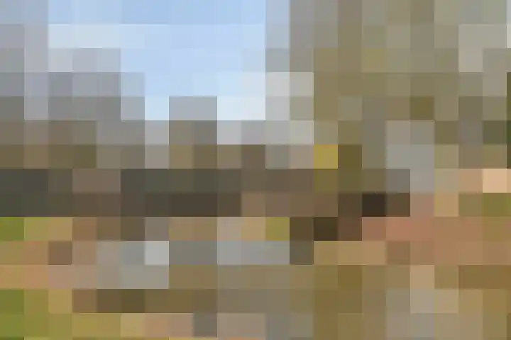 Buitenpepersdreef 71 's-Hertogenbosch thumbnail 17