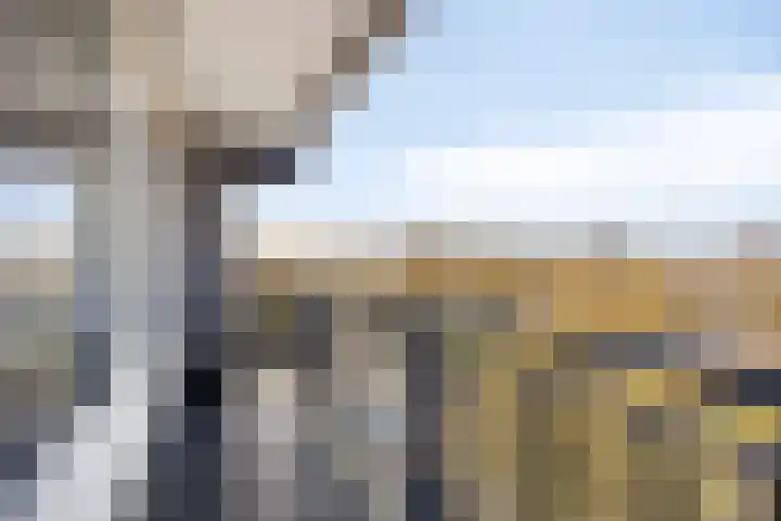 Buitenpepersdreef 71 's-Hertogenbosch thumbnail 4