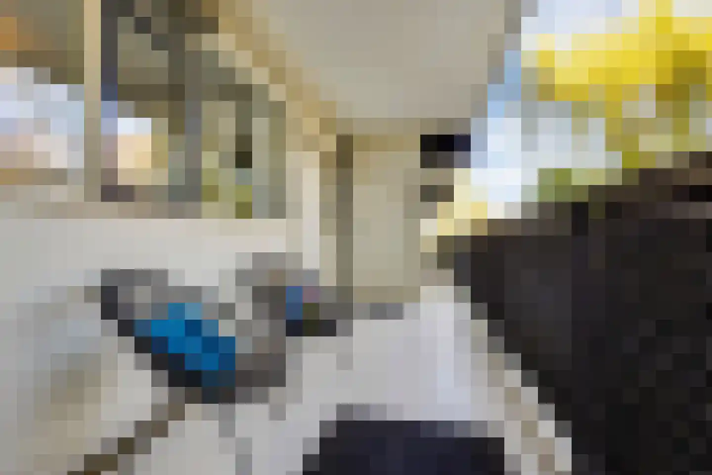 Buitenpepersdreef 81 's-Hertogenbosch thumbnail 21