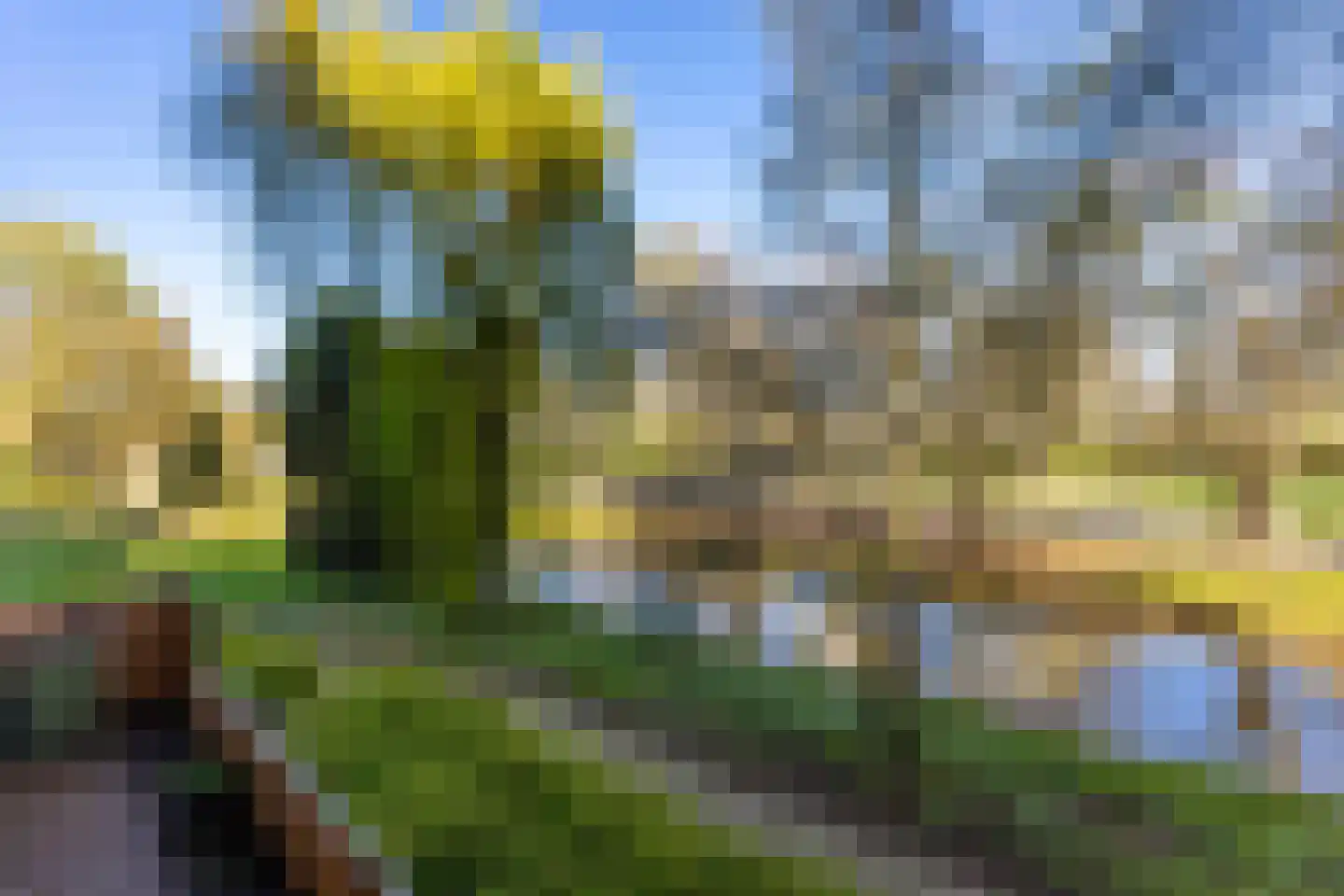 Buitenpepersdreef 81 's-Hertogenbosch thumbnail 22