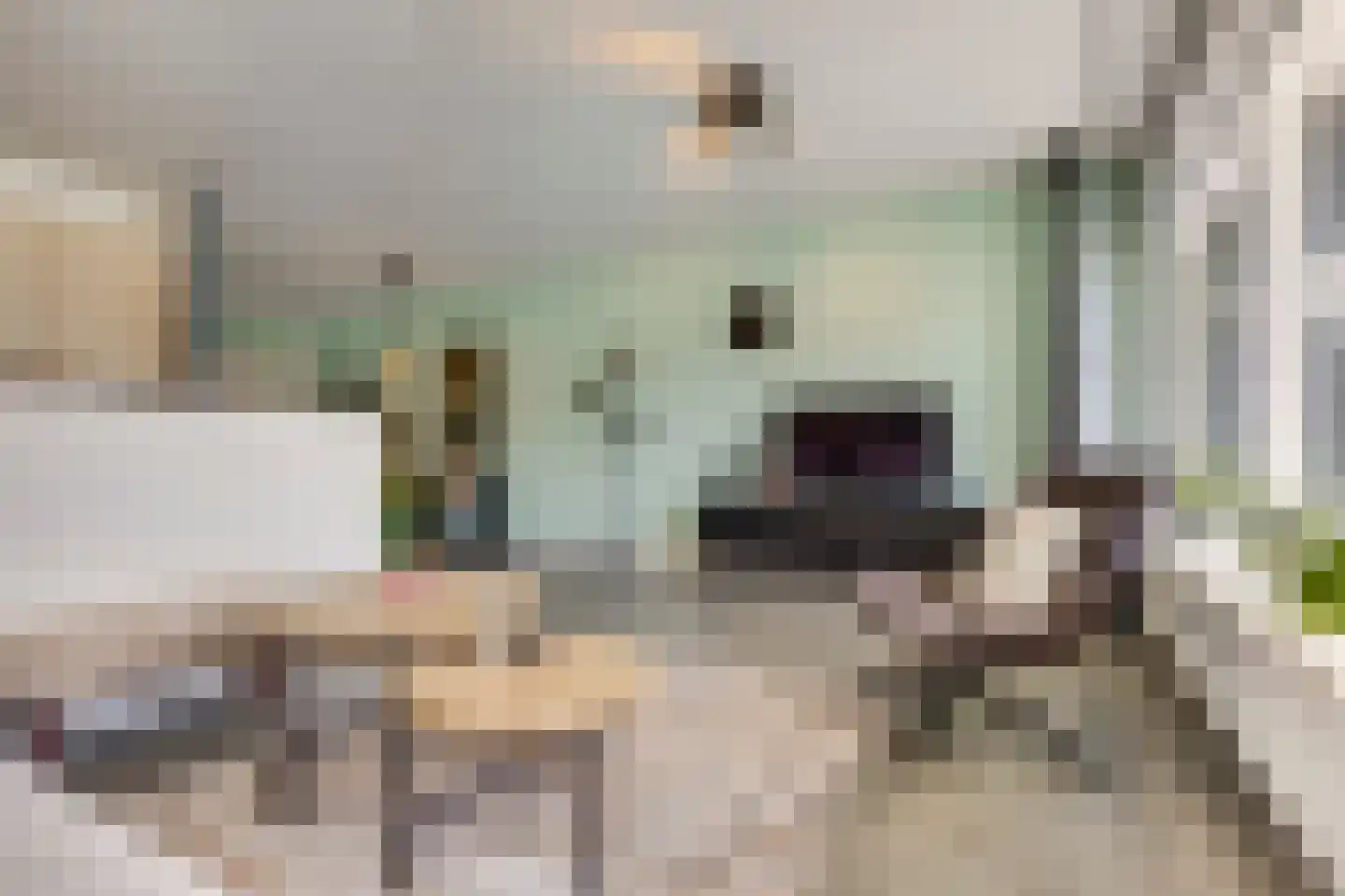 Buitenpepersdreef 81 's-Hertogenbosch thumbnail 8