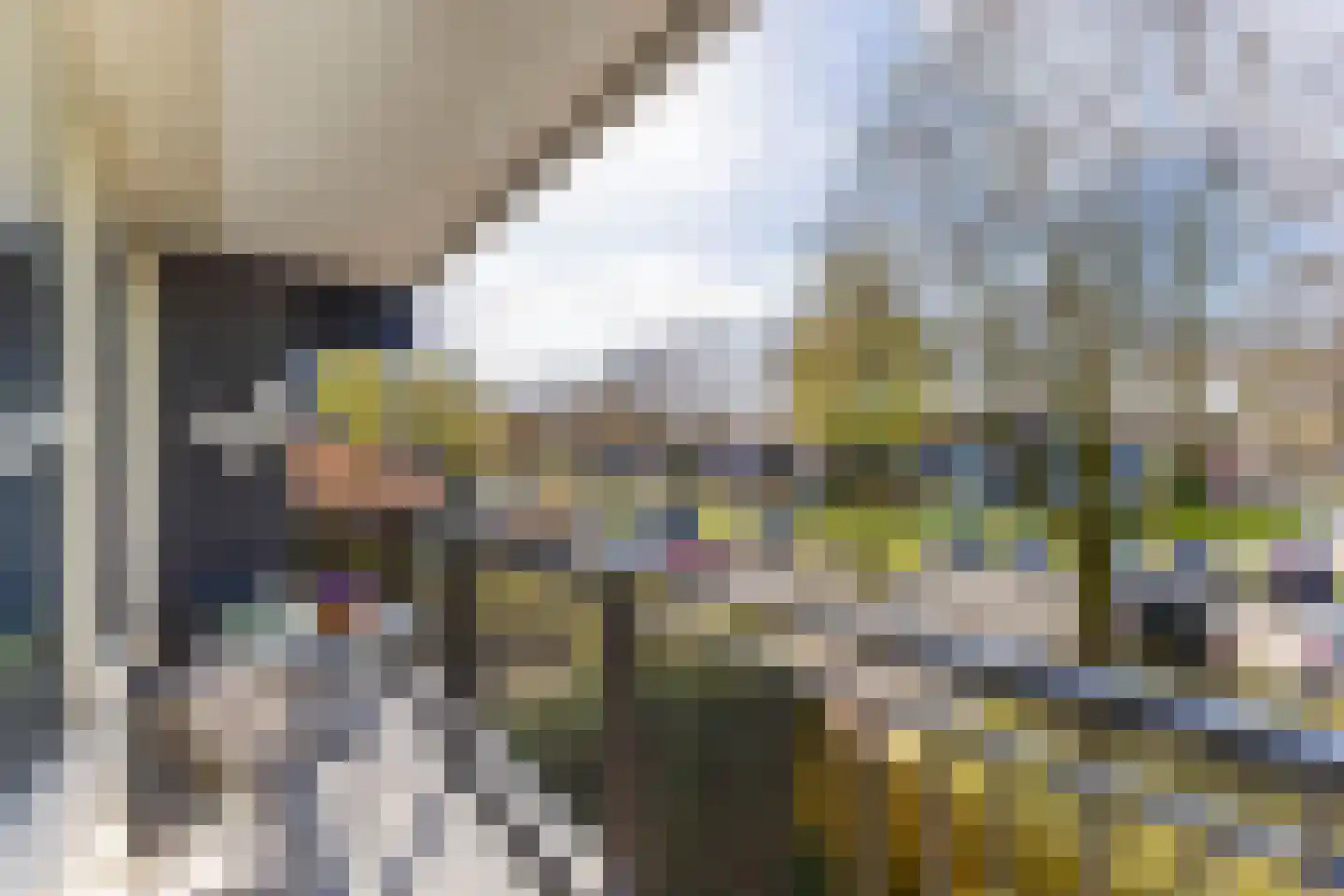Buitenpepersdreef 81 's-Hertogenbosch thumbnail 9