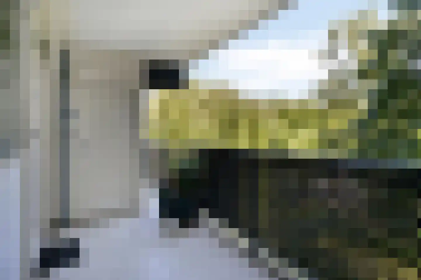 Buitenpepersdreef 95 's-Hertogenbosch thumbnail 17