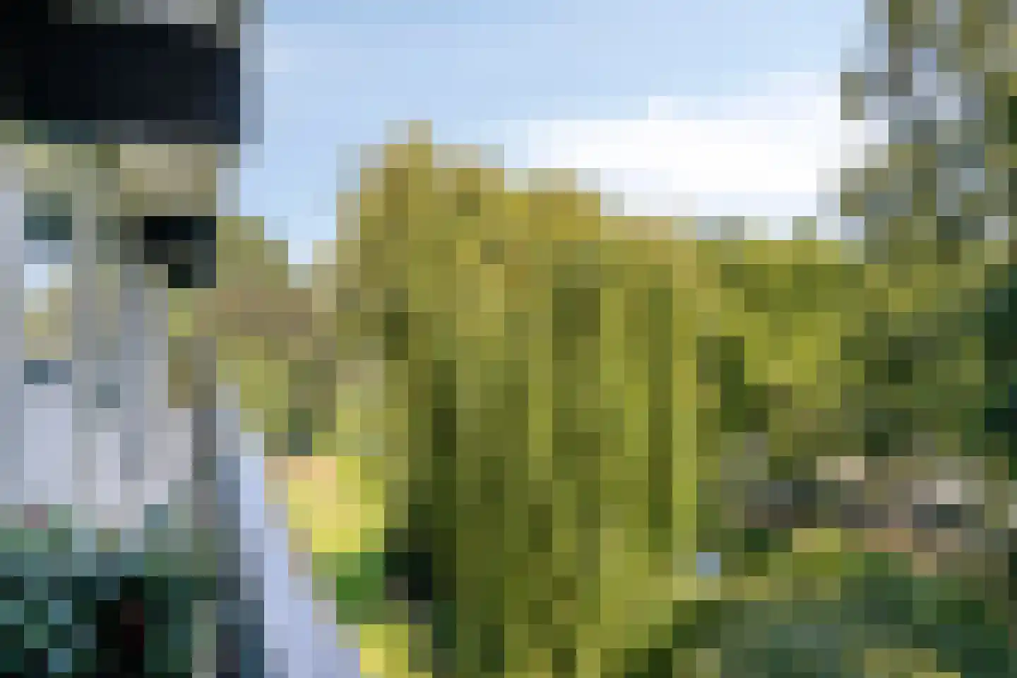Buitenpepersdreef 95 's-Hertogenbosch thumbnail 18