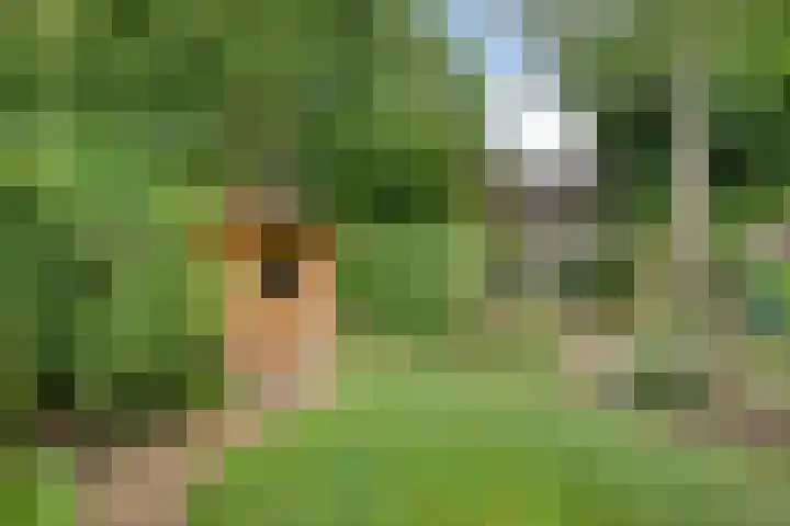 Buitenplaats 10 Dronten thumbnail 28