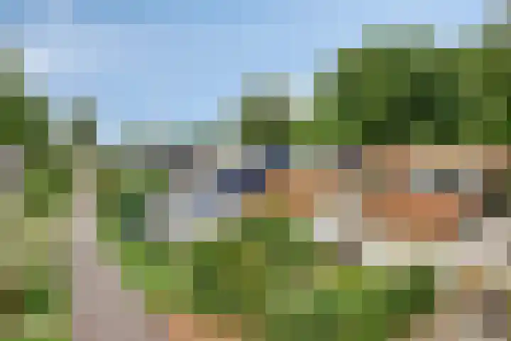 Buitenplaats 10 Dronten thumbnail 4