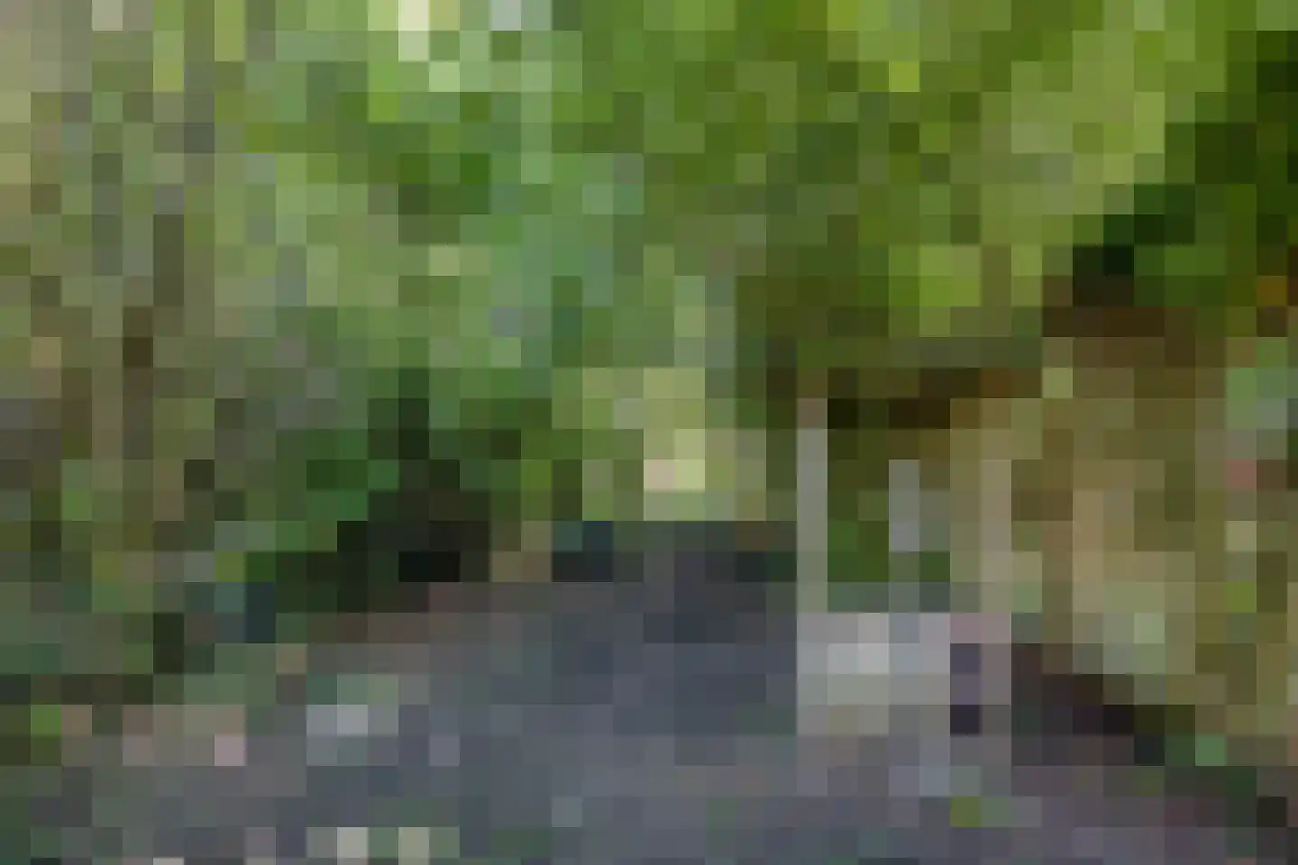 Buitenplaats 102 Dronten thumbnail 29