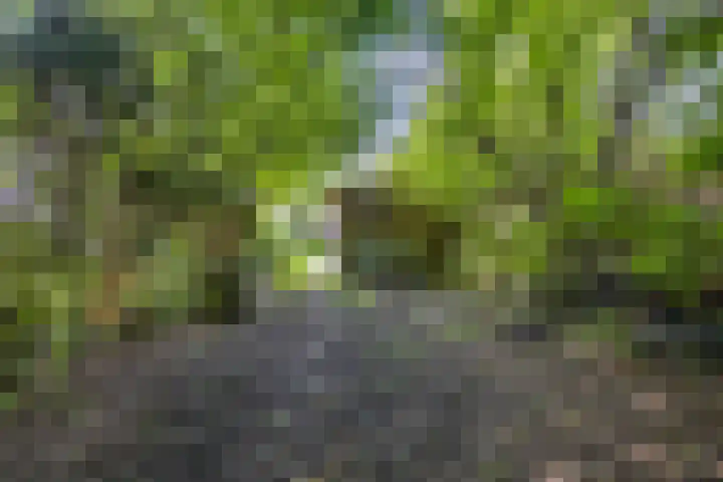 Buitenplaats 102 Dronten thumbnail 30