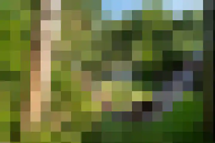 Buitenplaats 105 Dronten thumbnail 21