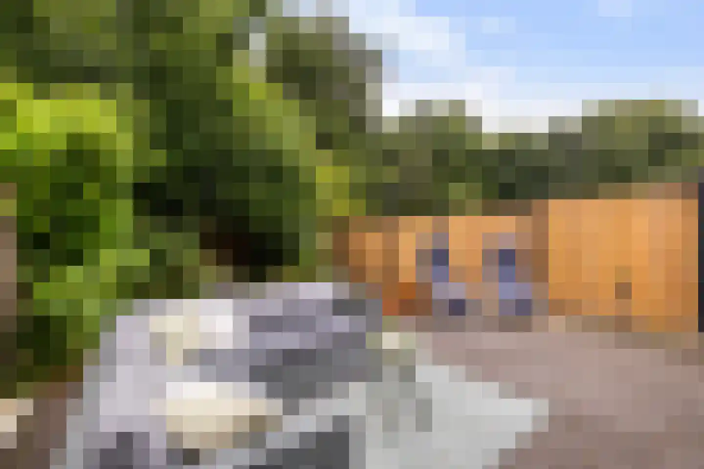 Buitenplaats 107 Dronten thumbnail 15