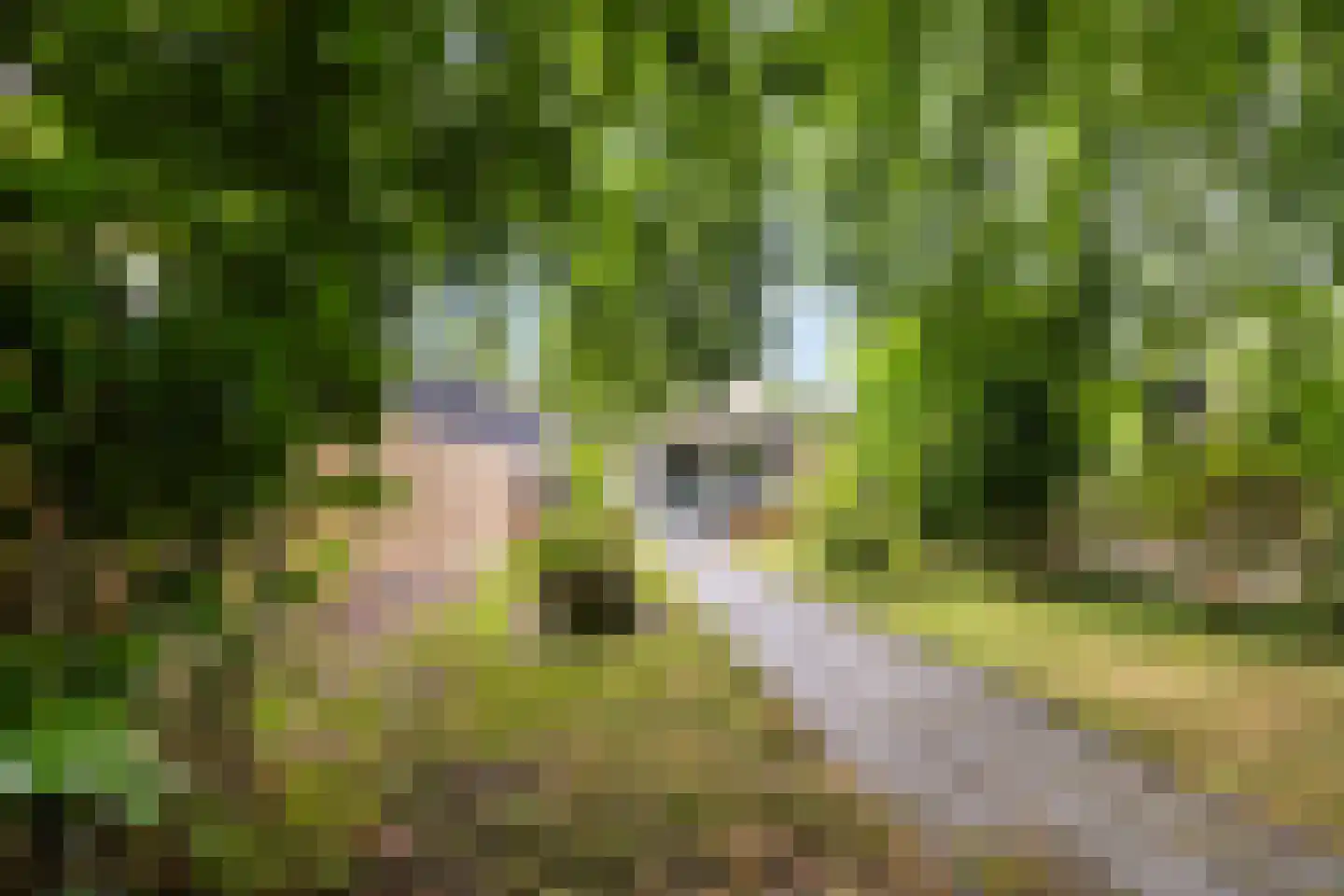 Buitenplaats 107 Dronten thumbnail 17