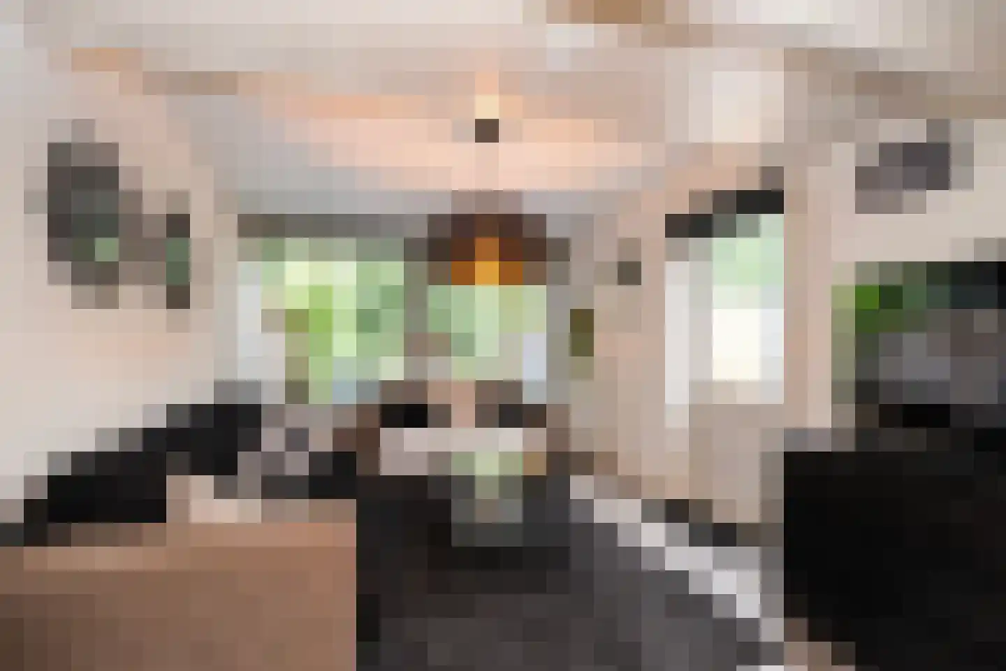 Buitenplaats 107 Dronten thumbnail 4