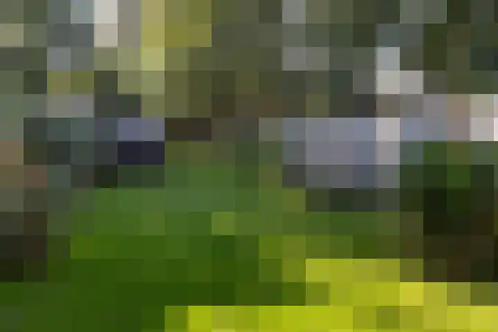 Buitenplaats 15 Dronten thumbnail 19