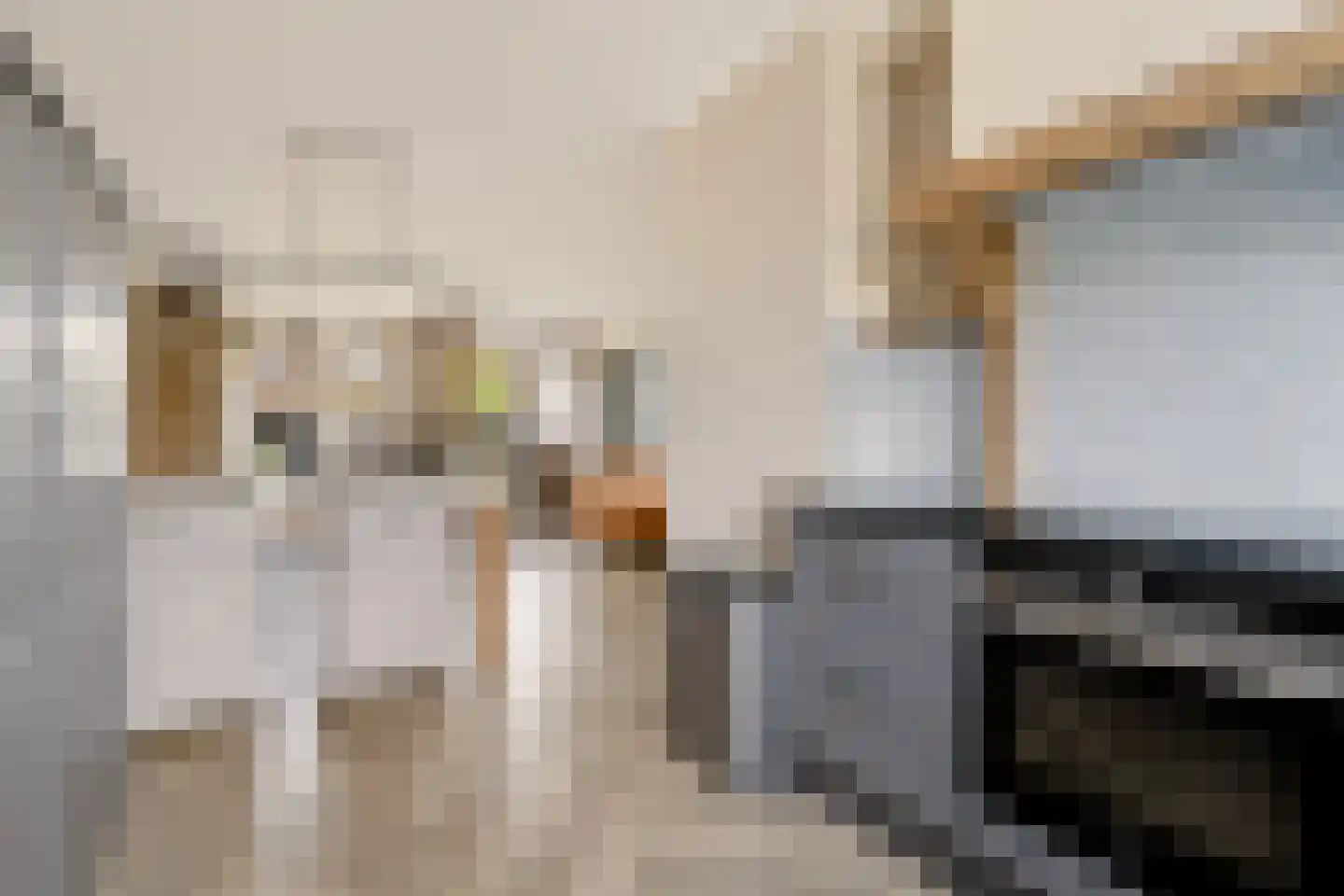 Buitenplaats 23 Rijssen thumbnail 10