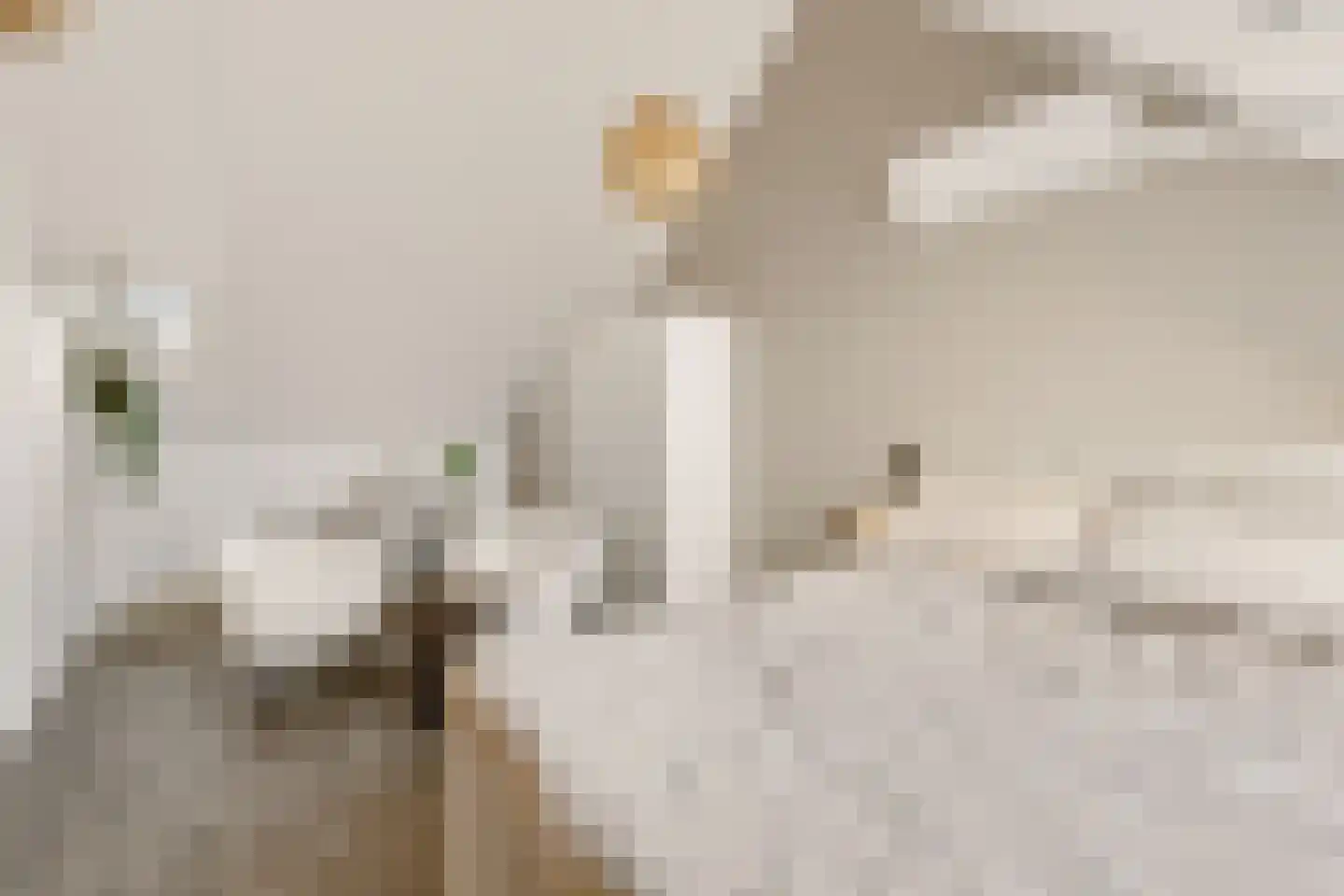 Buitenplaats 23 Rijssen thumbnail 23