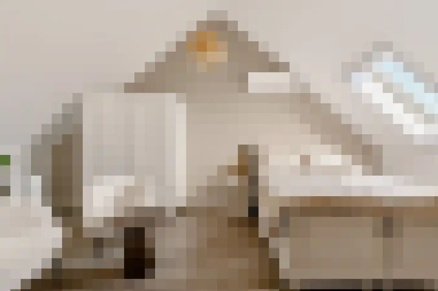 Buitenplaats 23 Rijssen thumbnail 24