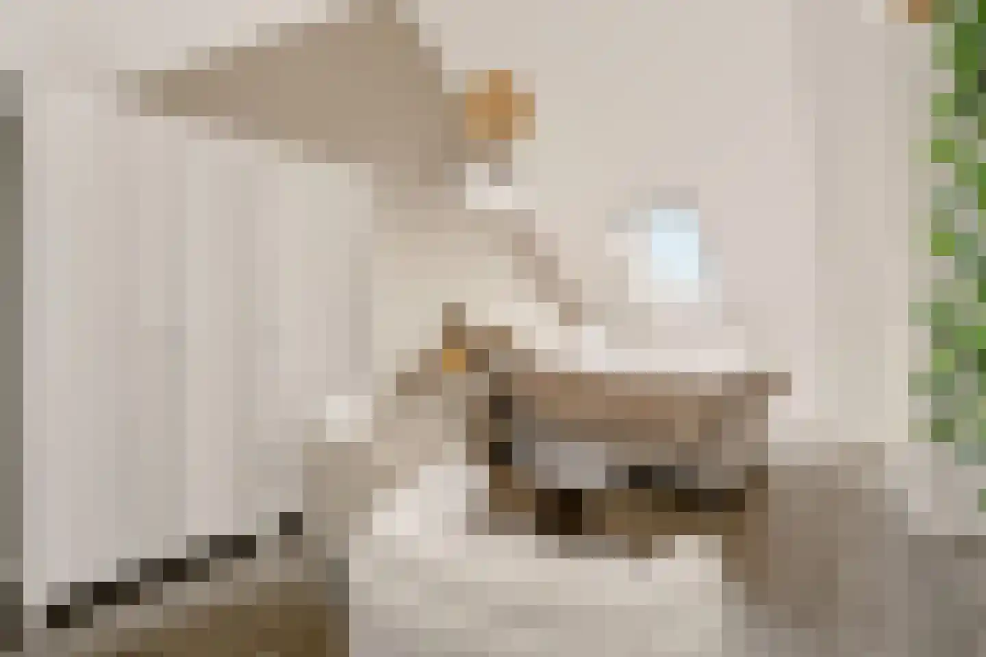 Buitenplaats 23 Rijssen thumbnail 25