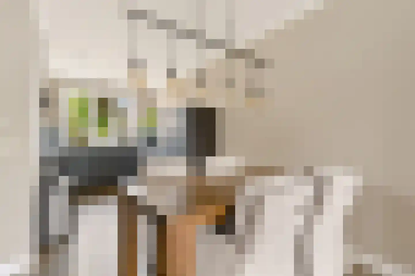Buitenplaats 23 Rijssen thumbnail 6