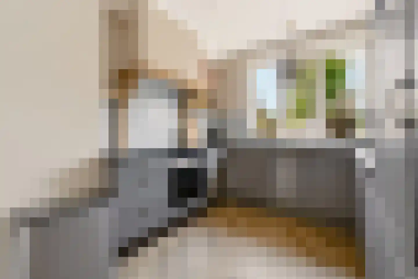Buitenplaats 23 Rijssen thumbnail 9