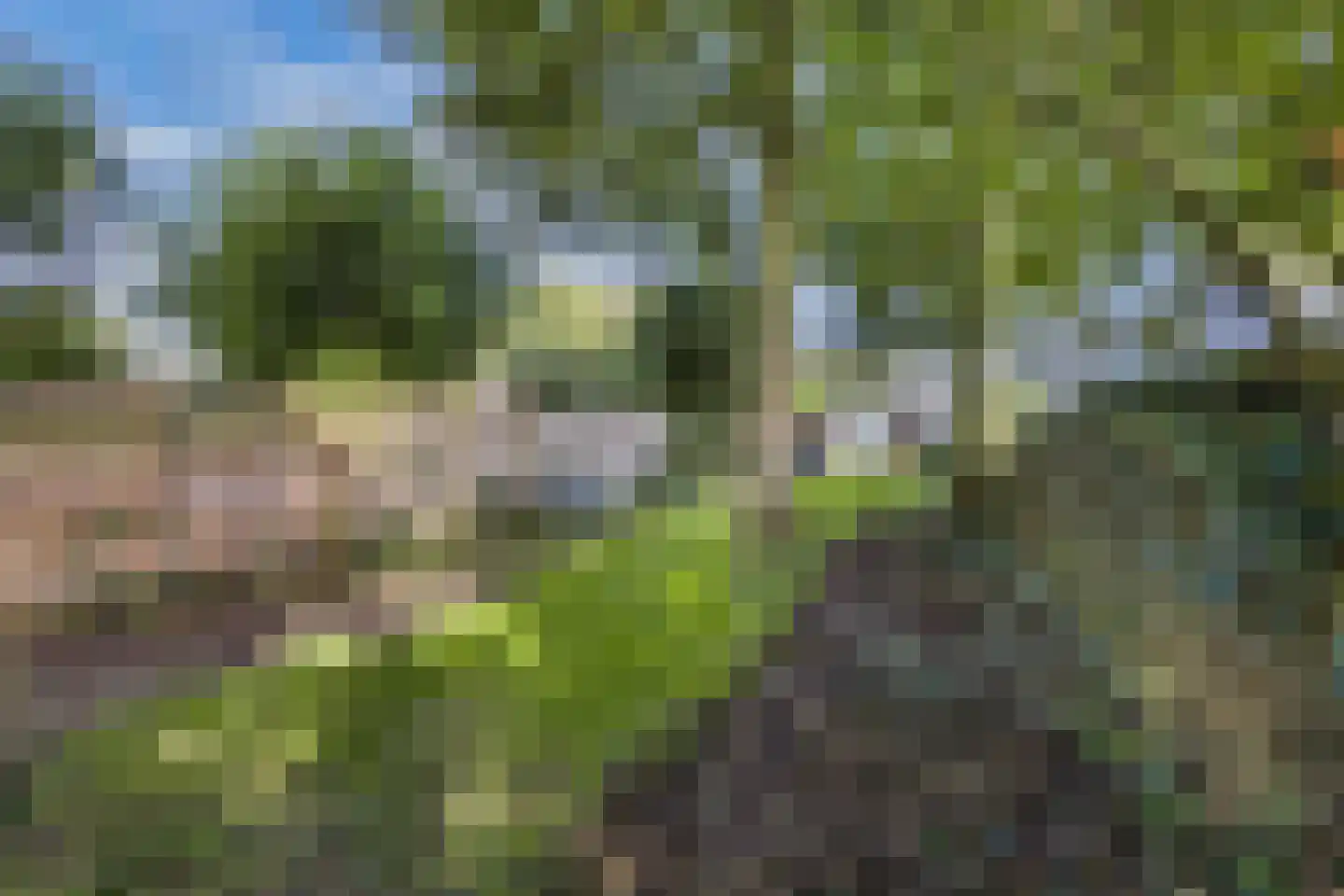 Buitenplaats 32 Dronten thumbnail 31