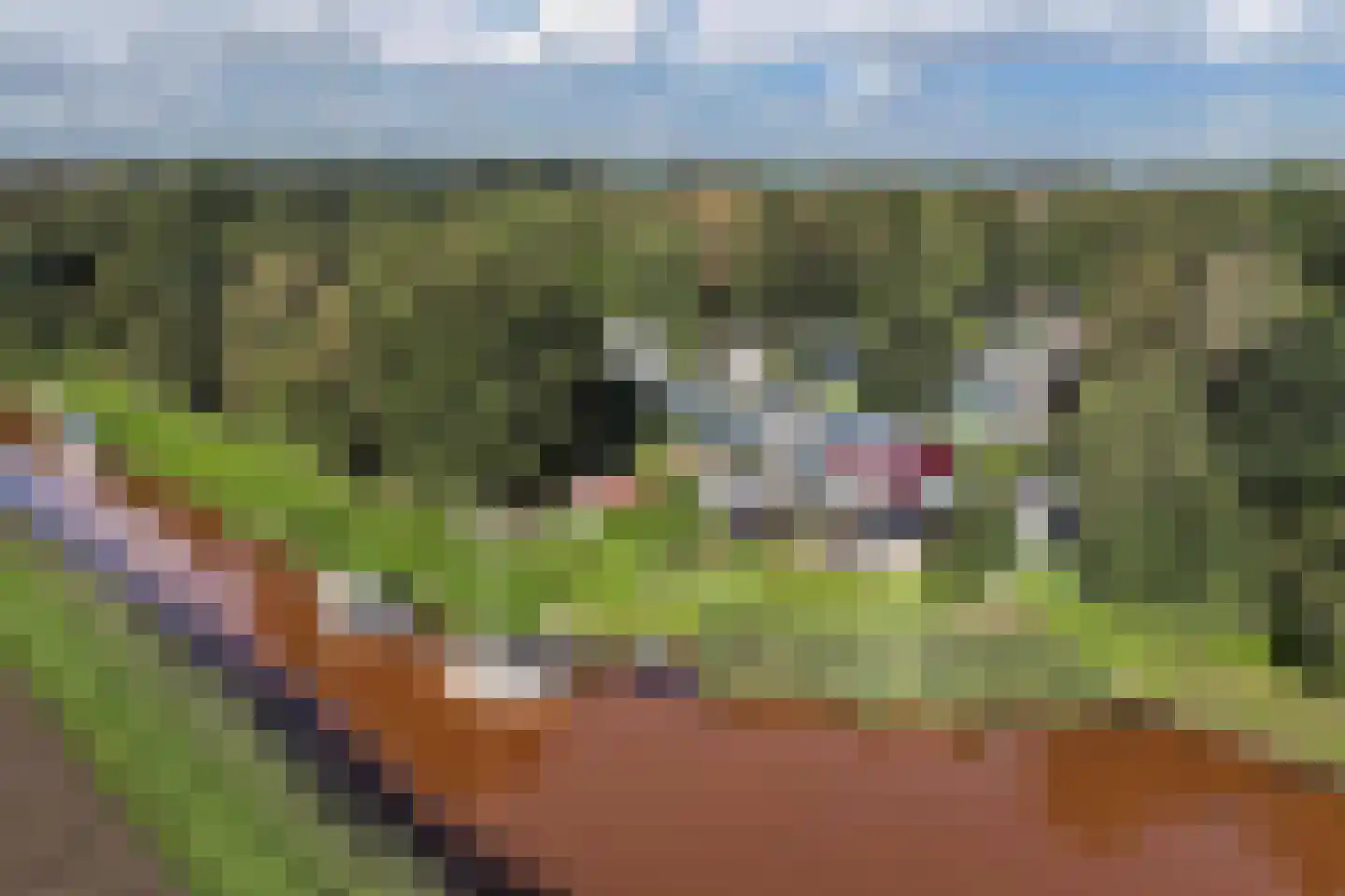 Buitenplaats 32 Dronten thumbnail 50