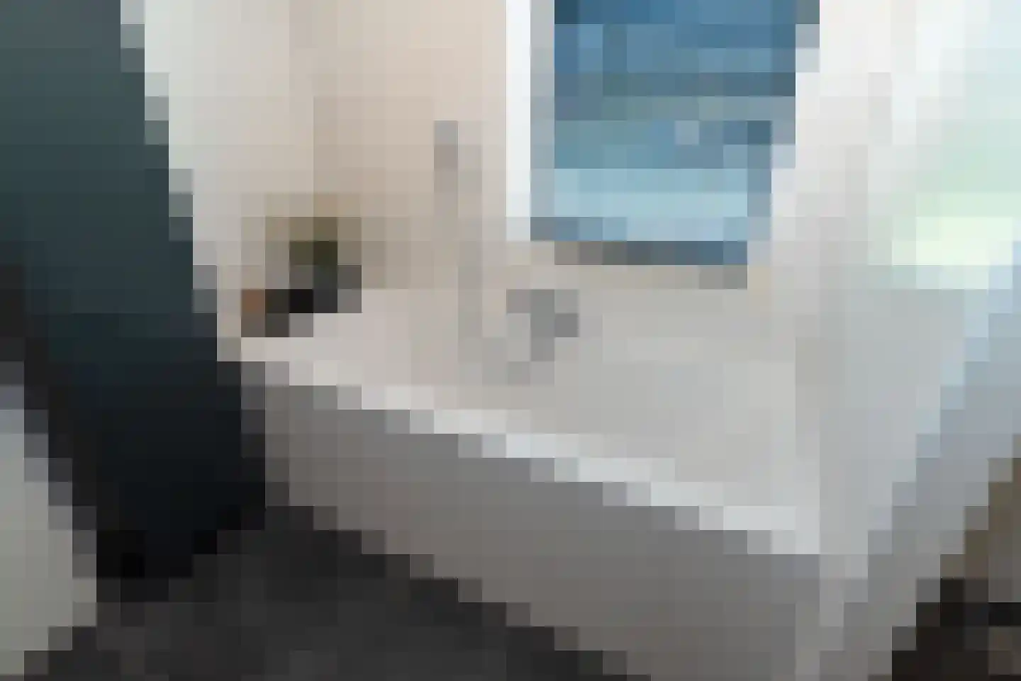 Buitenplaats 34 Rijssen thumbnail 30