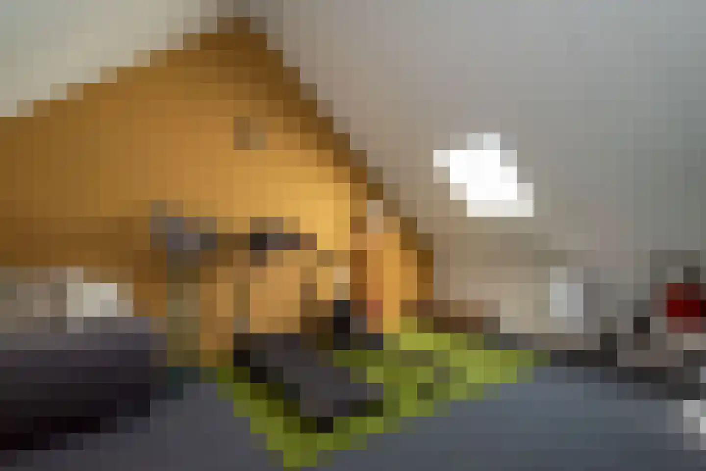 Buitenplaats 34 Rijssen thumbnail 34