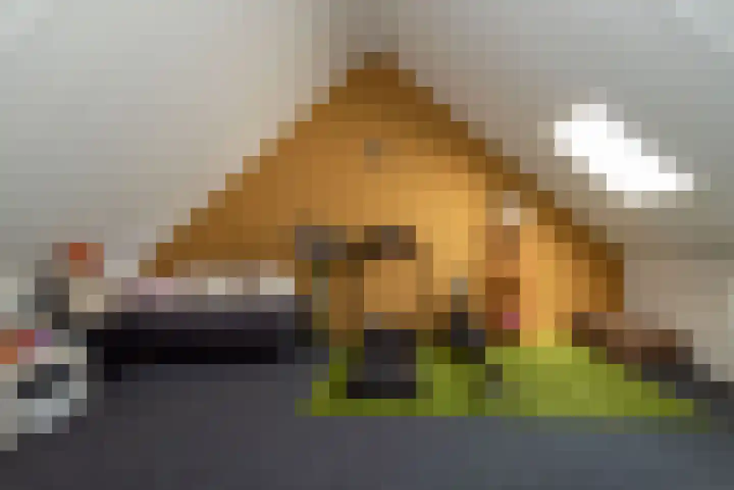 Buitenplaats 34 Rijssen thumbnail 36