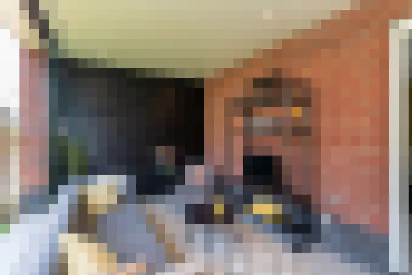 Buitenplaats 34 Rijssen thumbnail 39