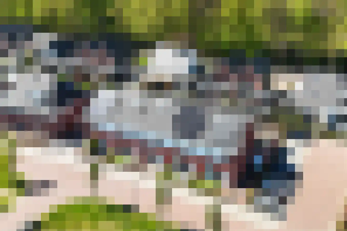 Buitenplaats 34 Rijssen thumbnail 50