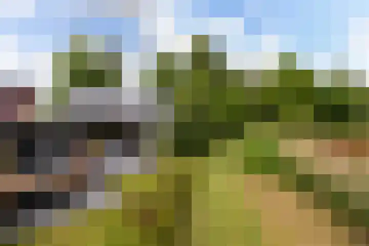 Buitenplaats 38 Dronten thumbnail 16