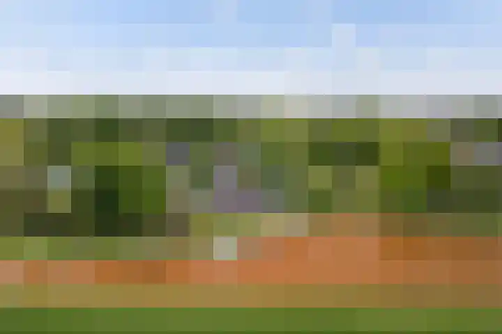 Buitenplaats 38 Dronten thumbnail 21