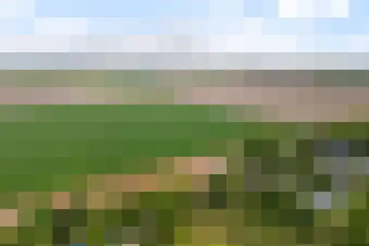 Buitenplaats 38 Dronten thumbnail 24