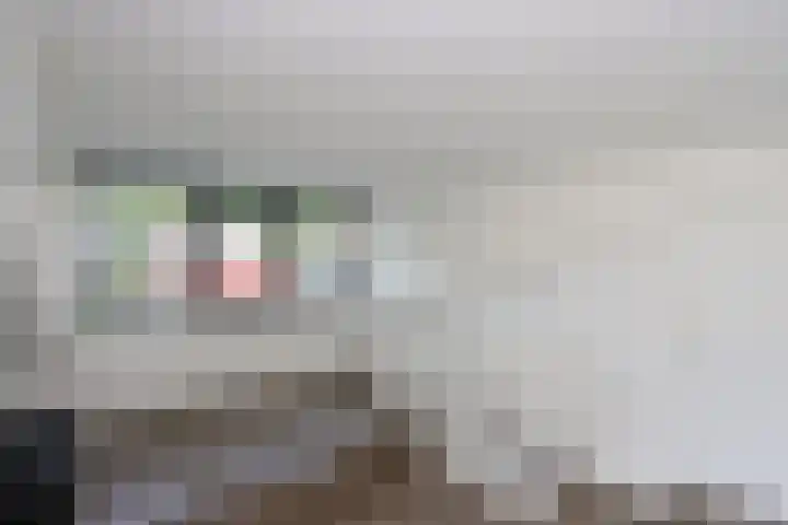 Buitenplaats 64 Dronten thumbnail 15