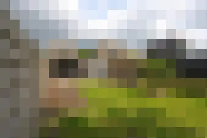 Buitenplaats 64 Dronten thumbnail 19