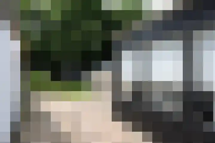 Buitenplaats 64 Dronten thumbnail 20