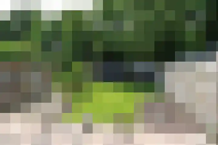 Buitenplaats 64 Dronten thumbnail 21