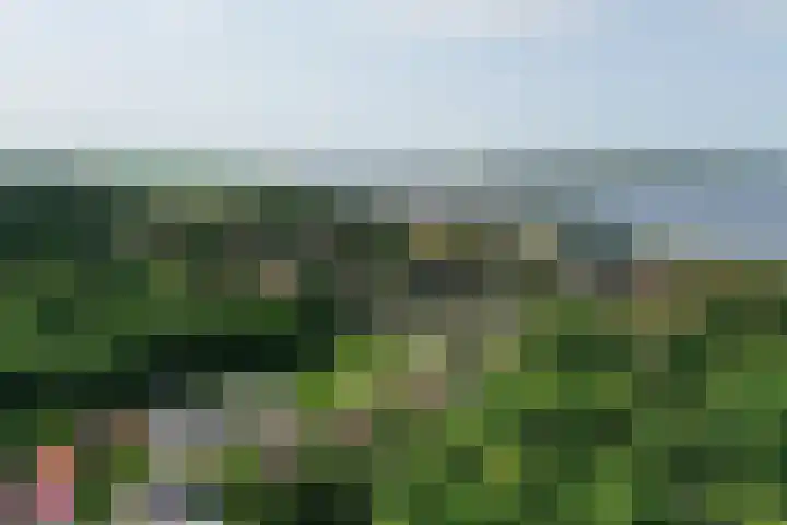 Buitenplaats 64 Dronten thumbnail 22