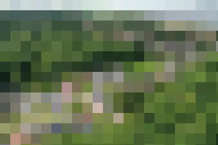 Buitenplaats 64 Dronten thumbnail 23