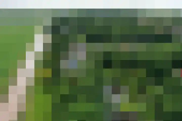 Buitenplaats 64 Dronten thumbnail 24