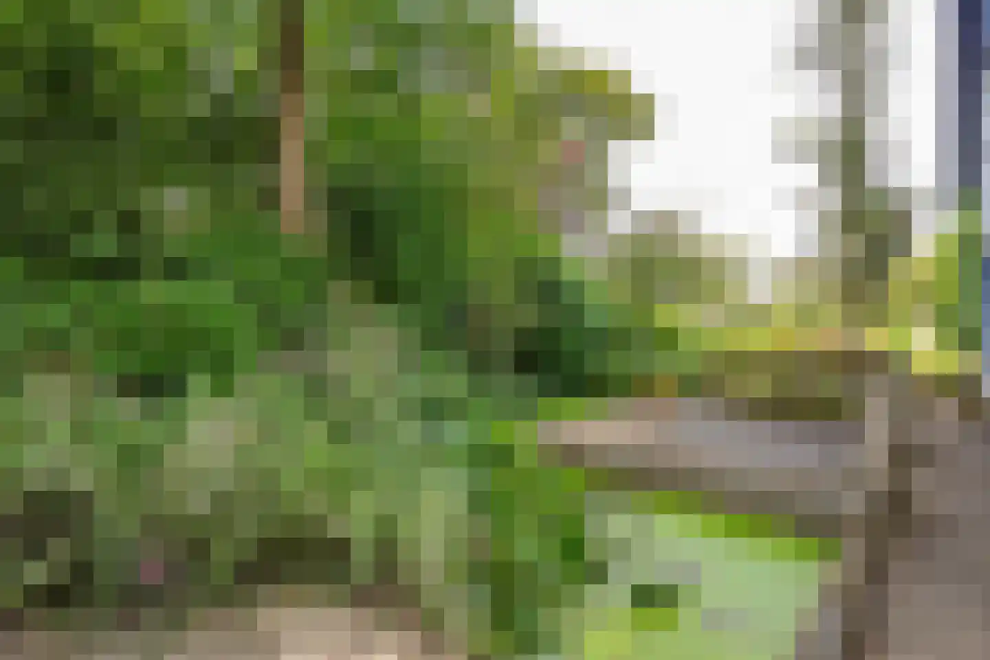 Buitenplaats 87 Lelystad thumbnail 43