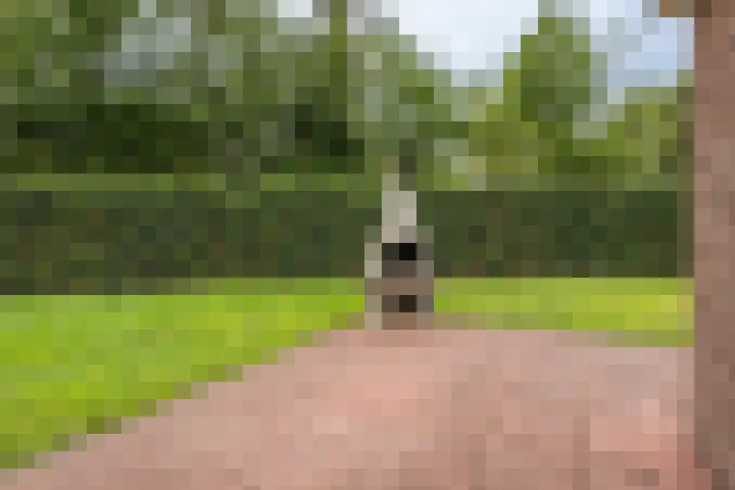 Buitenplaats Herkingen 10 c Herkingen thumbnail 25