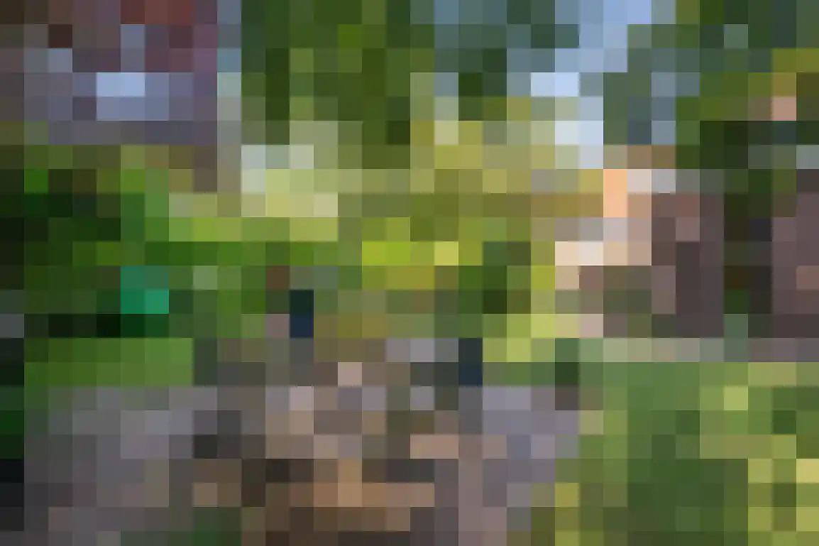 Buitenplaats Herkingen 14 a Herkingen thumbnail 13