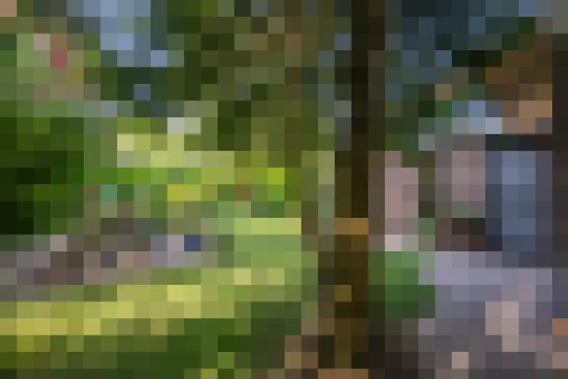 Buitenplaats Herkingen 14 a Herkingen thumbnail 4