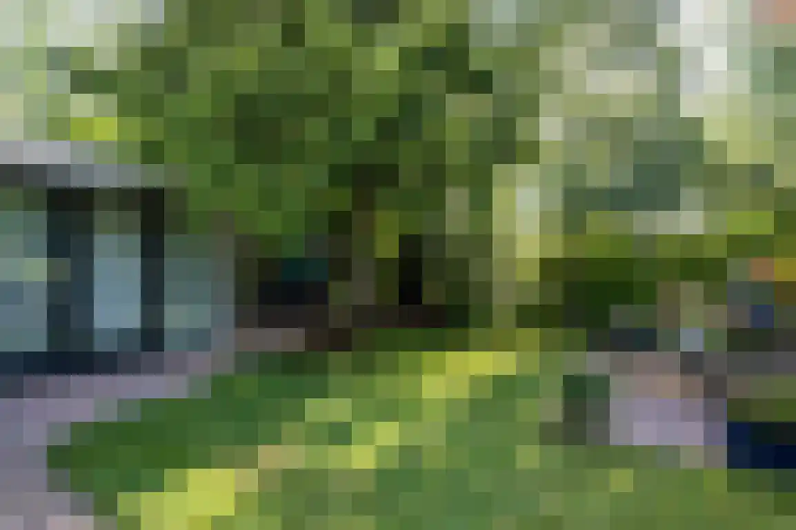 Buitenplaats Herkingen 14 a Herkingen thumbnail 7