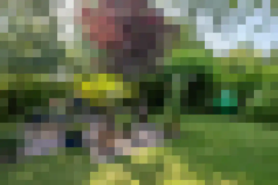 Buitenplaats Herkingen 14 a Herkingen thumbnail 8