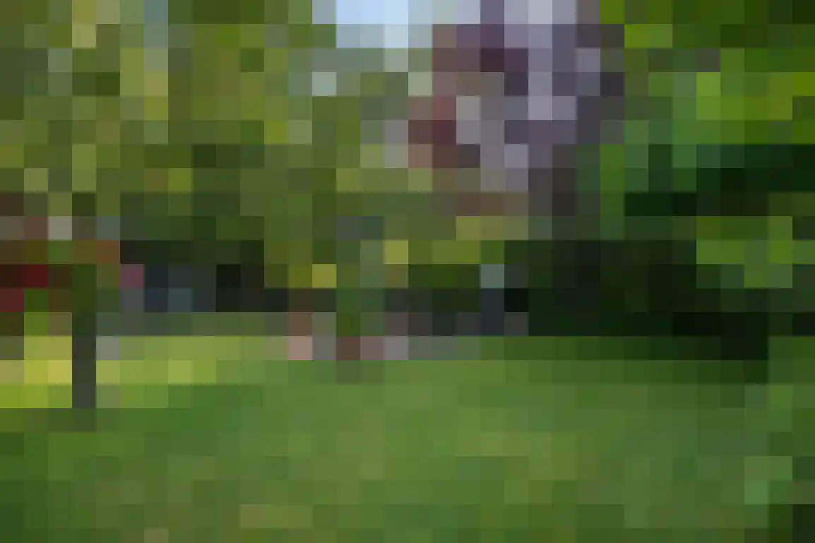 Buitenplaats Herkingen 14 a Herkingen thumbnail 9