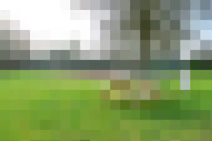 Buitenplaats Herkingen 3 b Herkingen thumbnail 29